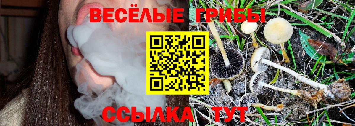 Галлюциногенные грибы Ликино-Дулёво