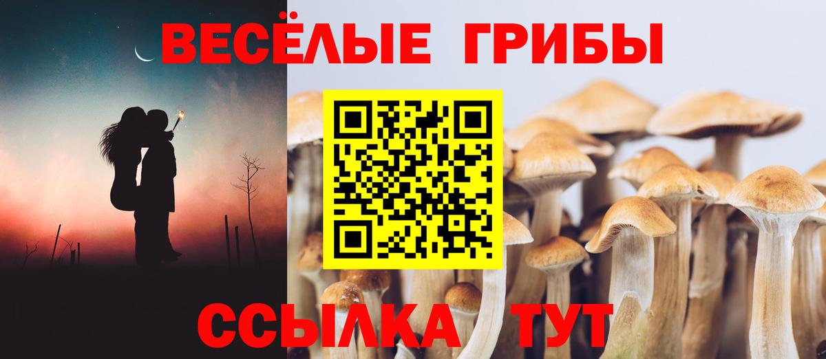 Галлюциногенные грибы ЛСД Ликино-Дулёво